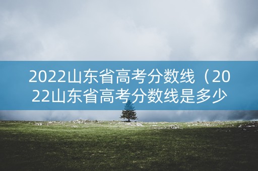 2022山东省高考分数线（2022山东省高考分数线是多少）