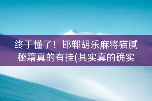 终于懂了！邯郸胡乐麻将猫腻秘籍真的有挂(其实真的确实有挂)