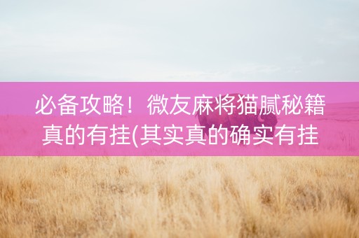 必备攻略！微友麻将猫腻秘籍真的有挂(其实真的确实有挂)