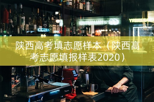 陕西高考填志愿样本（陕西高考志愿填报样表2020）