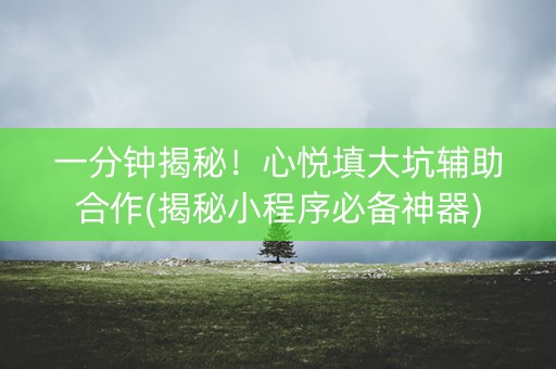 一分钟揭秘！心悦填大坑辅助合作(揭秘小程序必备神器)