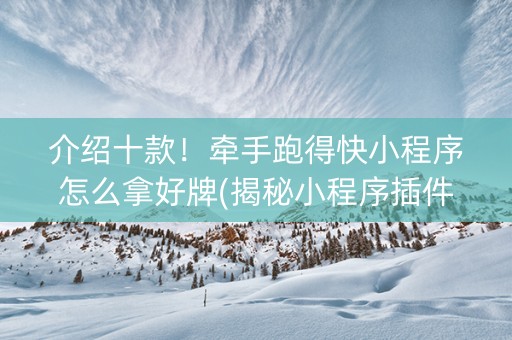 介绍十款！牵手跑得快小程序怎么拿好牌(揭秘小程序插件免费)