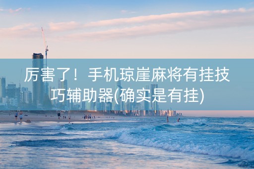 厉害了！手机琼崖麻将有挂技巧辅助器(确实是有挂)