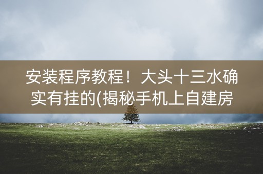 安装程序教程！大头十三水确实有挂的(揭秘手机上自建房怎么赢)