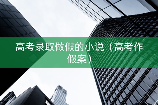 高考录取做假的小说（高考作假案）
