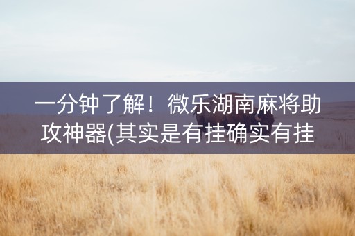 一分钟了解！微乐湖南麻将助攻神器(其实是有挂确实有挂)