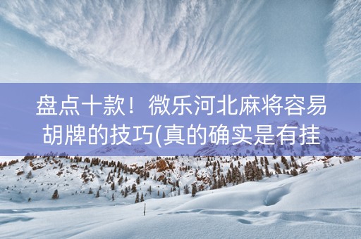 盘点十款！微乐河北麻将容易胡牌的技巧(真的确实是有挂)