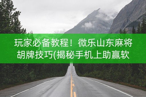 玩家必备教程！微乐山东麻将胡牌技巧(揭秘手机上助赢软件)