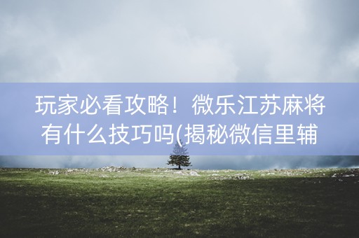 玩家必看攻略！微乐江苏麻将有什么技巧吗(揭秘微信里辅牌器)