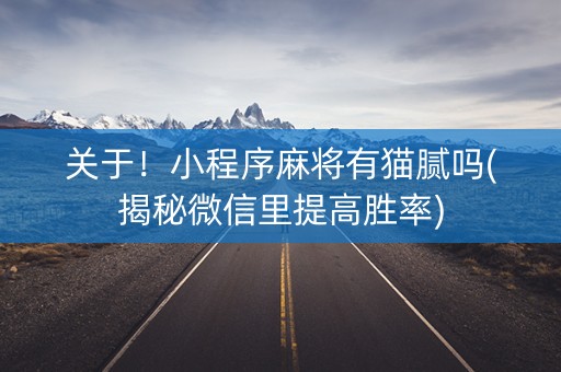 关于！小程序麻将有猫腻吗(揭秘微信里提高胜率)
