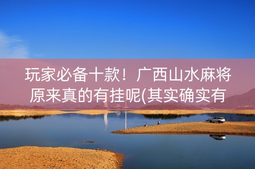 玩家必备十款！广西山水麻将原来真的有挂呢(其实确实有挂)