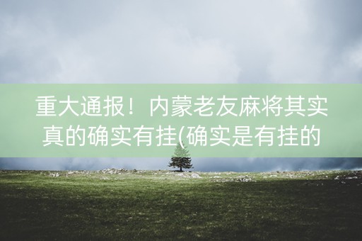 重大通报！内蒙老友麻将其实真的确实有挂(确实是有挂的)