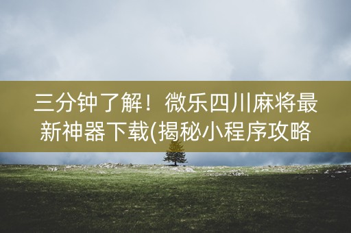 三分钟了解！微乐四川麻将最新神器下载(揭秘小程序攻略插件)