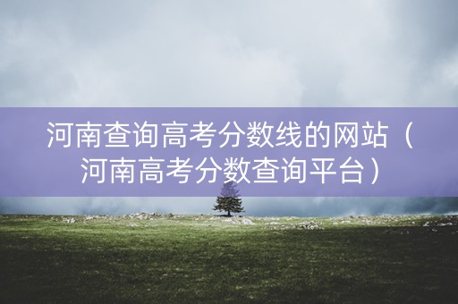 河南查询高考分数线的网站（河南高考分数查询平台）
