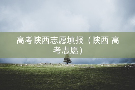高考陕西志愿填报（陕西 高考志愿）