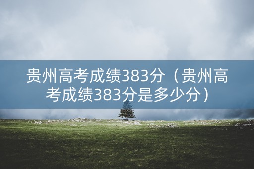 贵州高考成绩383分（贵州高考成绩383分是多少分）