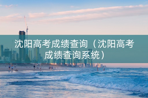沈阳高考成绩查询（沈阳高考成绩查询系统）