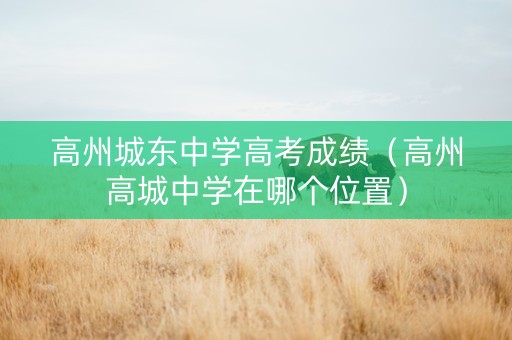 高州城东中学高考成绩（高州高城中学在哪个位置）
