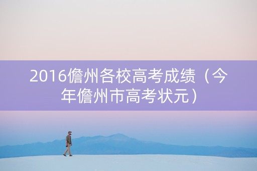 2016儋州各校高考成绩（今年儋州市高考状元）