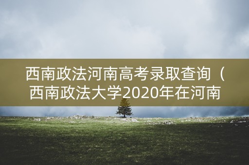 西南政法河南高考录取查询（西南政法大学2020年在河南录取分数线）