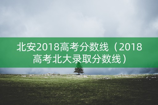 北安2018高考分数线（2018高考北大录取分数线）
