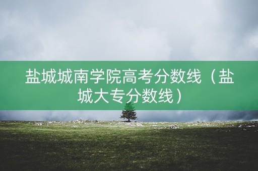 盐城城南学院高考分数线（盐城大专分数线）