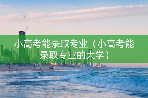 小高考能录取专业（小高考能录取专业的大学）
