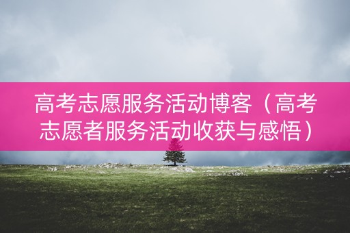 高考志愿服务活动博客（高考志愿者服务活动收获与感悟）