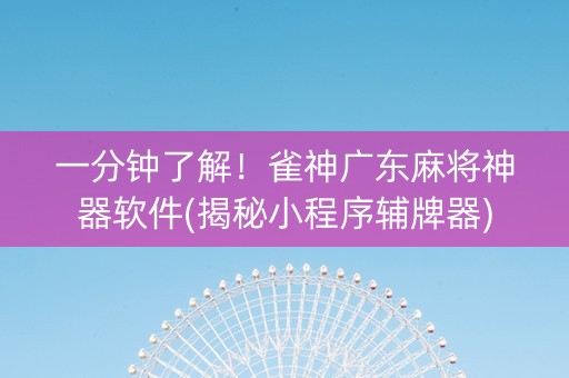 一分钟了解！雀神广东麻将神器软件(揭秘小程序辅牌器)