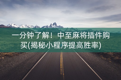 一分钟了解！中至麻将插件购买(揭秘小程序提高胜率)
