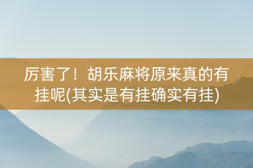 厉害了！胡乐麻将原来真的有挂呢(其实是有挂确实有挂)