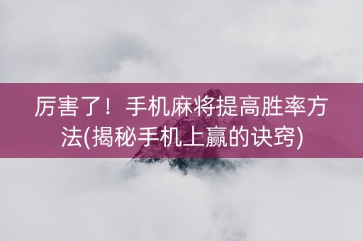 厉害了！手机麻将提高胜率方法(揭秘手机上赢的诀窍)