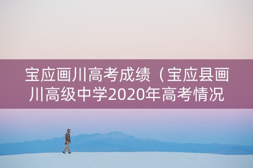 宝应画川高考成绩（宝应县画川高级中学2020年高考情况）