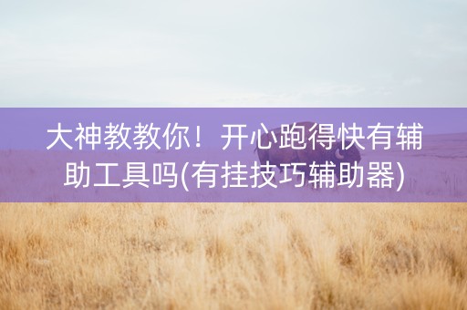 大神教教你！开心跑得快有辅助工具吗(有挂技巧辅助器)