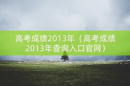 高考成绩2013年（高考成绩2013年查询入口官网）