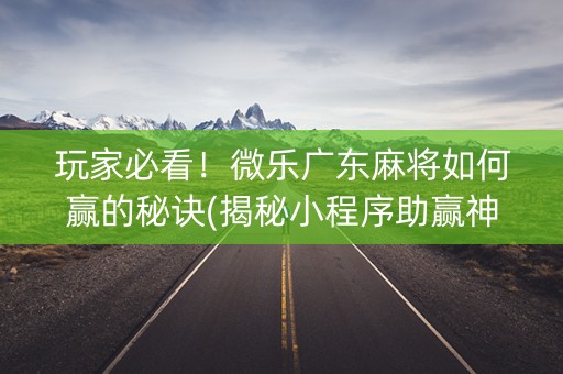 玩家必看！微乐广东麻将如何赢的秘诀(揭秘小程序助赢神器)