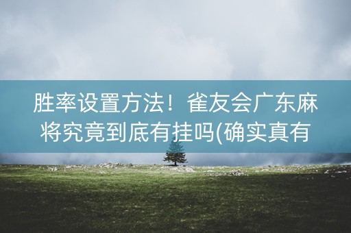 胜率设置方法！雀友会广东麻将究竟到底有挂吗(确实真有挂)