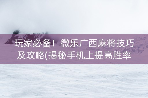 玩家必备！微乐广西麻将技巧及攻略(揭秘手机上提高胜率)