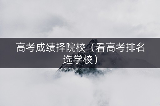 高考成绩择院校（看高考排名选学校）