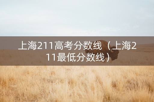 上海211高考分数线（上海211最低分数线）