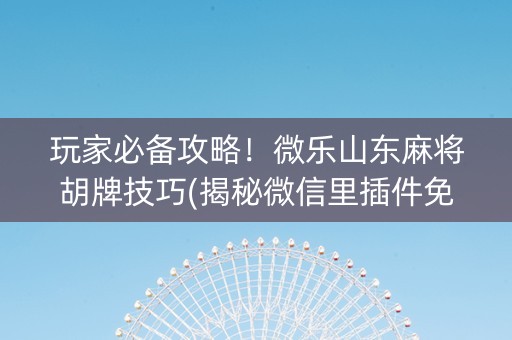玩家必备攻略！微乐山东麻将胡牌技巧(揭秘微信里插件免费)