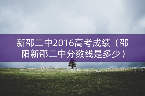 新邵二中2016高考成绩（邵阳新邵二中分数线是多少）
