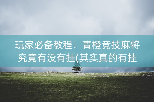 玩家必备教程！青橙竞技麻将究竟有没有挂(其实真的有挂)