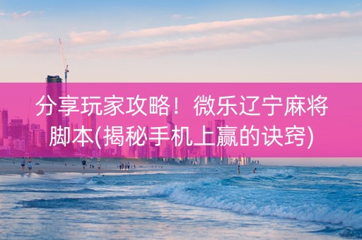 分享玩家攻略！微乐辽宁麻将脚本(揭秘手机上赢的诀窍)