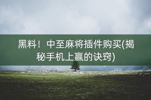 黑料！中至麻将插件购买(揭秘手机上赢的诀窍)