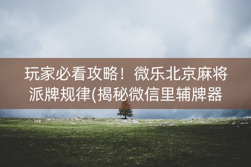 玩家必看攻略！微乐北京麻将派牌规律(揭秘微信里辅牌器)