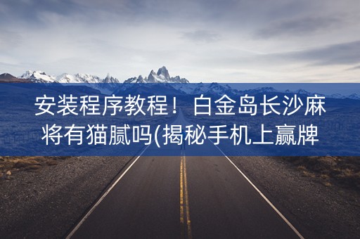 安装程序教程！白金岛长沙麻将有猫腻吗(揭秘手机上赢牌的技巧)