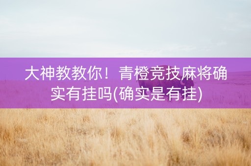 大神教教你！青橙竞技麻将确实有挂吗(确实是有挂)