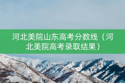 河北美院山东高考分数线（河北美院高考录取结果）