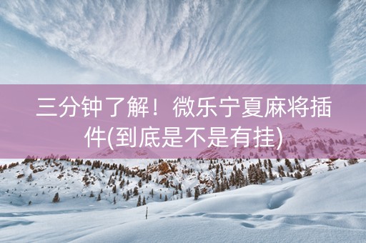 三分钟了解！微乐宁夏麻将插件(到底是不是有挂)
